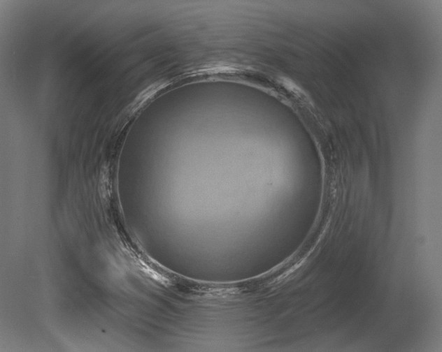 X0000079581353200612011207