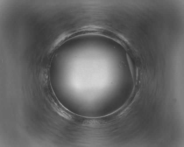 X0000079581355200612011207