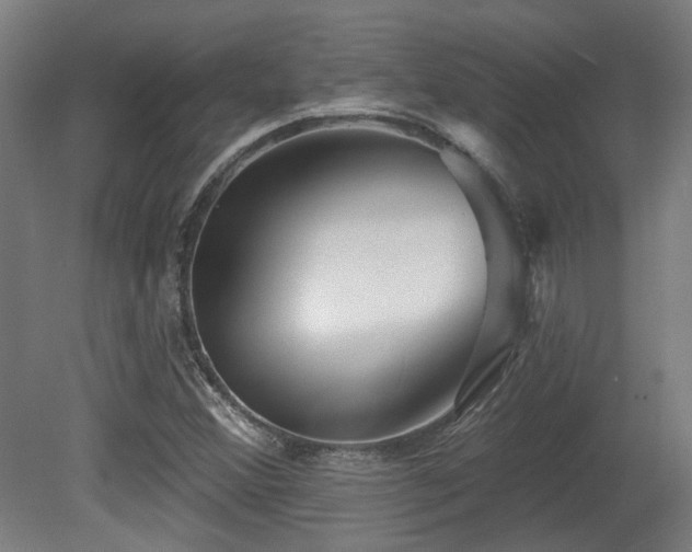 X0000079581356200612011207