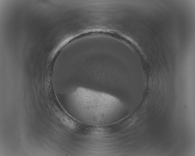 X0000079581359200612011207