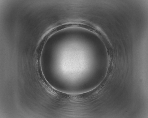 X0000079581360200612011207