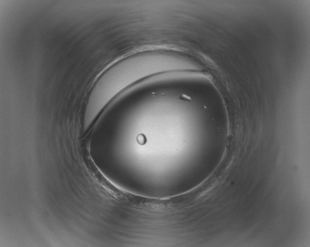 X0000079581361200612011207