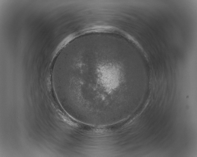 X0000079581362200612011207