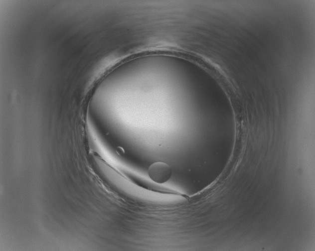 X0000079581363200612011207