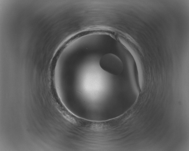 X0000079581364200612011207