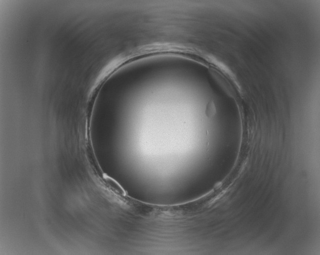 X0000079581365200612011207