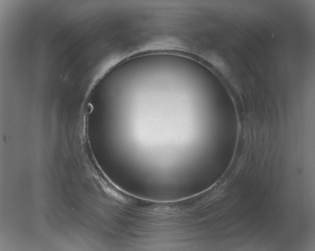 X0000079581366200612011207