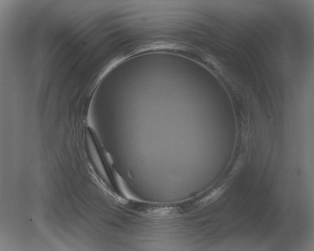 X0000079581369200612011207