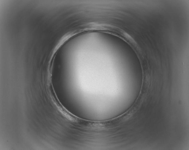 X0000079581370200612011207