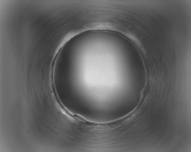 X0000079581374200612011207