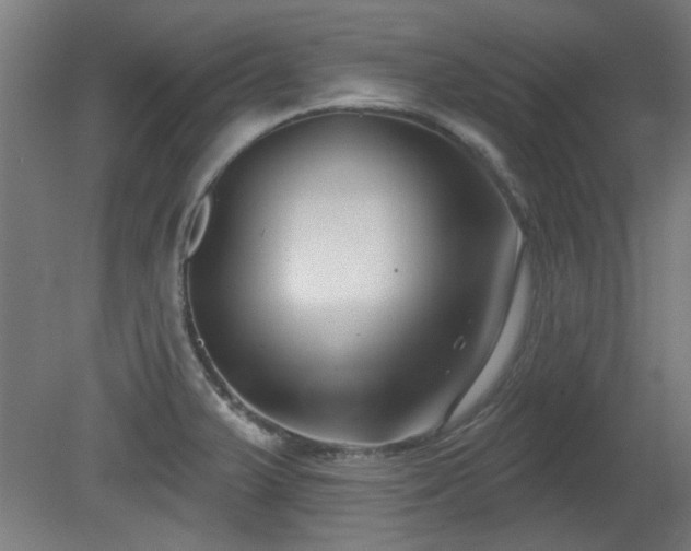 X0000079581375200612011207