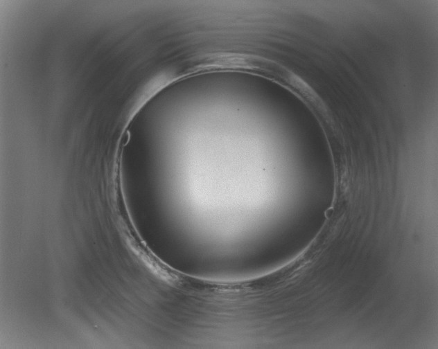 X0000079581378200612011207