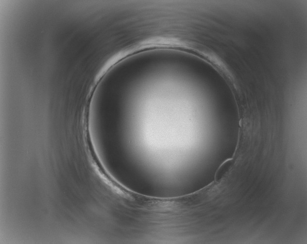 X0000079581382200612011207