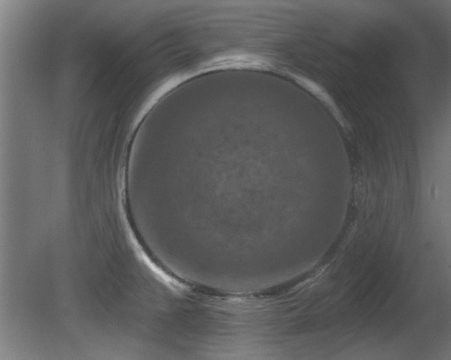 X0000079581383200612011207