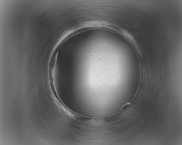 X0000079581384200612011207