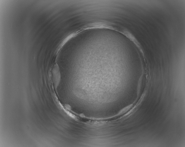 X0000079581385200612011207