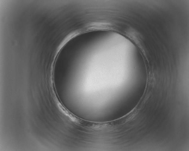 X0000079581386200612011207