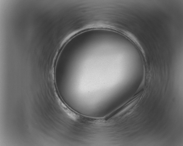 X0000079581388200612011207