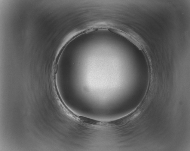 X0000079581392200612011206