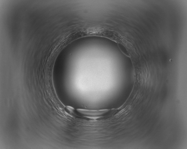 X0000079581393200612011206
