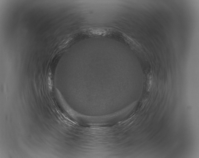 X0000079581394200612011206