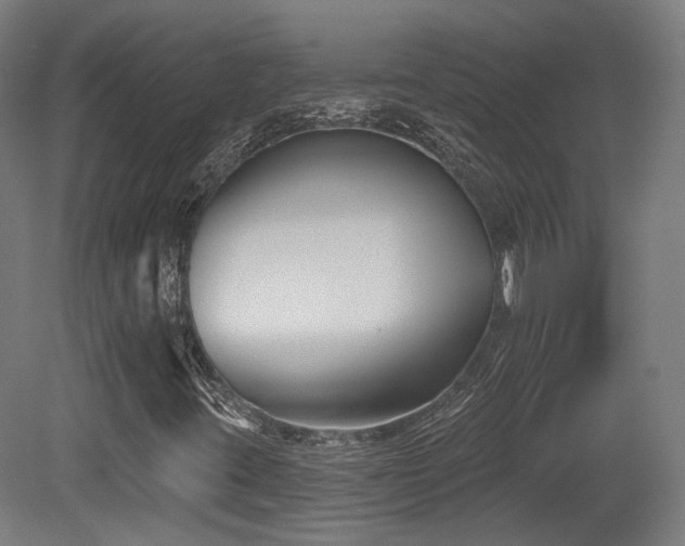 X0000079581395200612011206