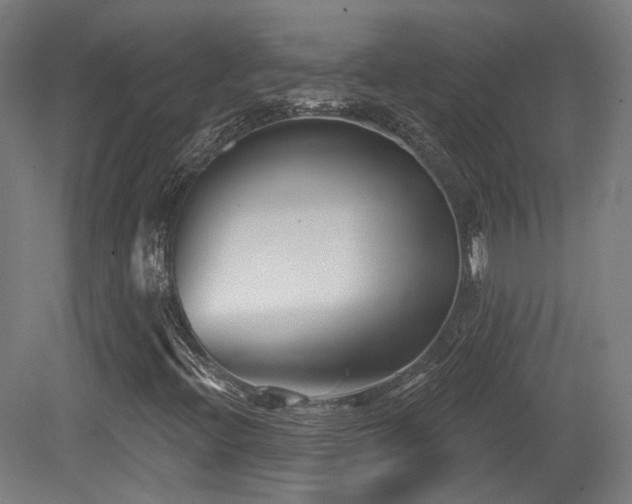 X0000079581396200612011206