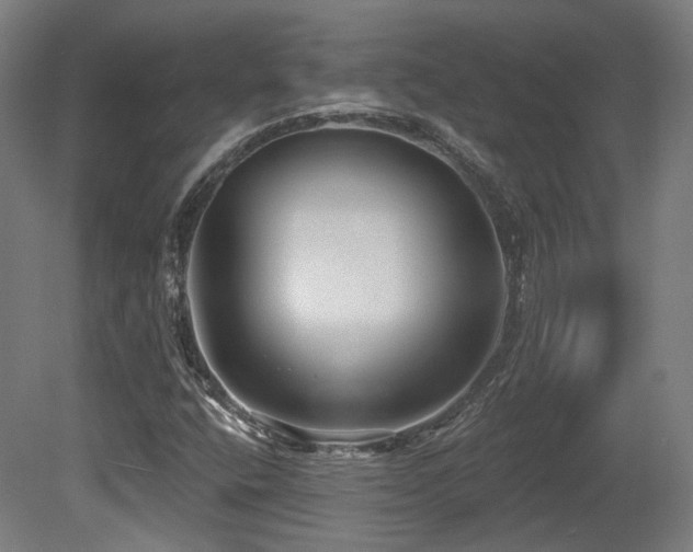 X0000079581400200612011206