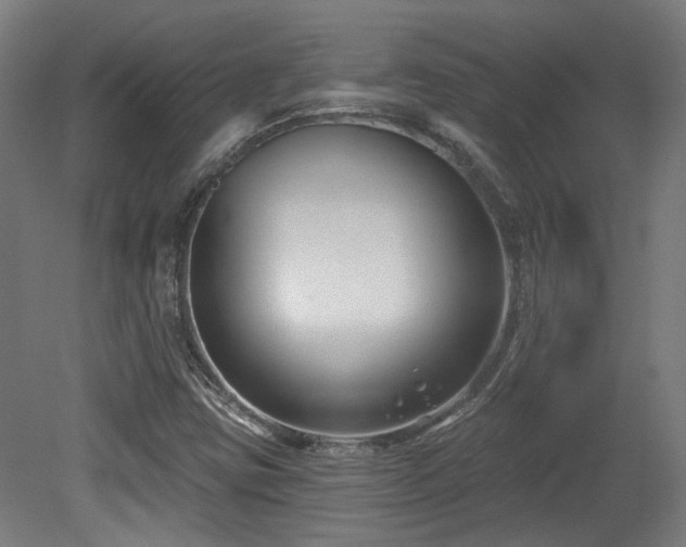 X0000079581403200612011206