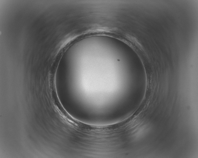 X0000079581404200612011206