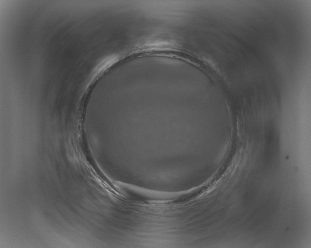X0000079581405200612011206