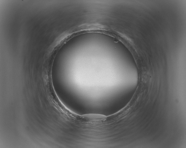 X0000079581407200612011206