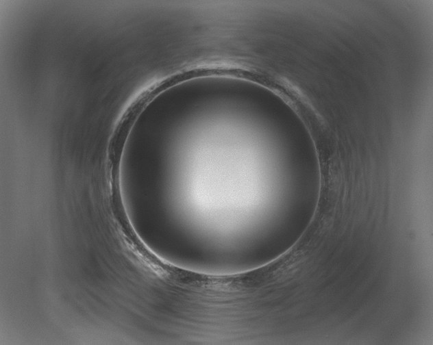 X0000079581408200612011206