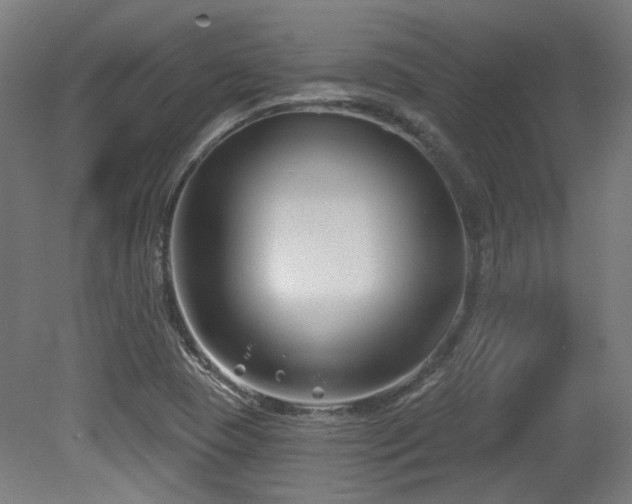 X0000079581409200612011206