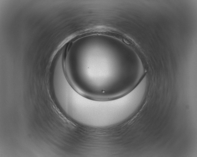 X0000079581410200612011206