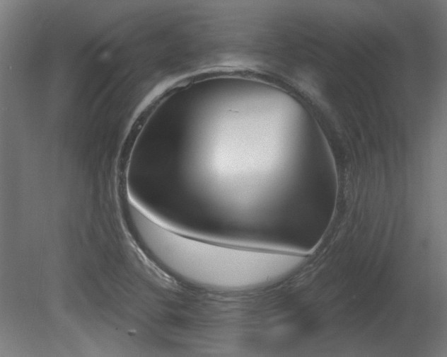 X0000079581412200612011206
