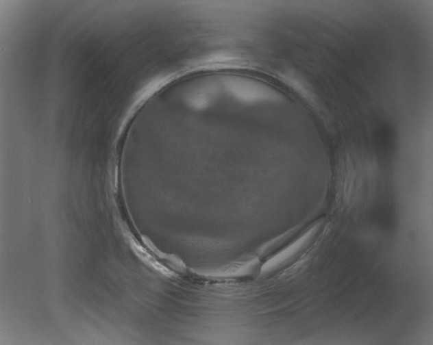 X0000079581413200612011206