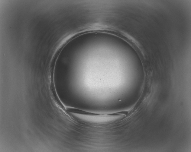X0000079581415200612011206