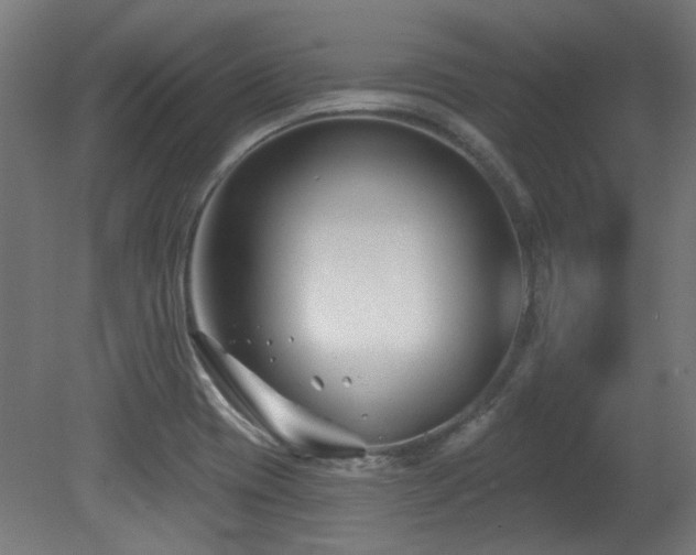 X0000079581417200612011206