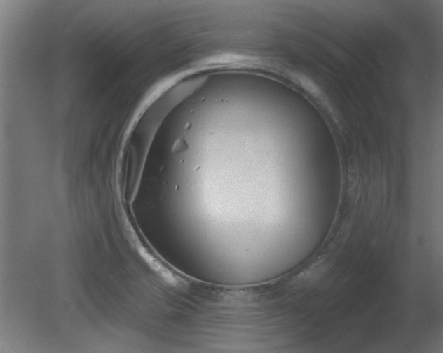 X0000079581421200612011206