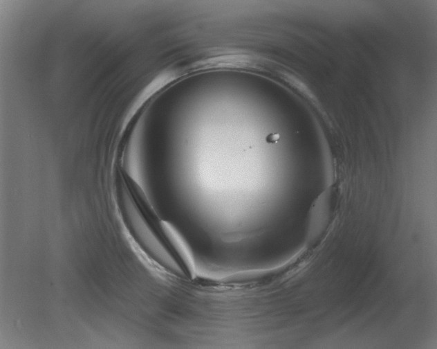 X0000079581426200612011206