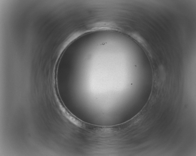 X0000079581431200612011206