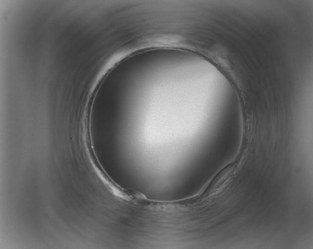 X0000079581432200612011206