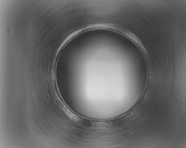 X0000079581436200612011206