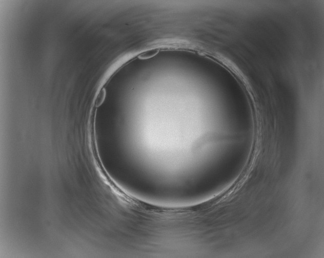 X0000079581440200612011206