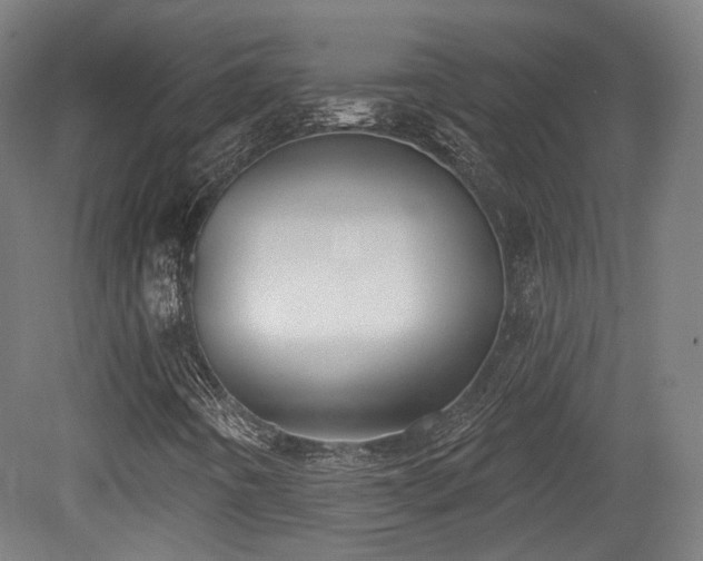 X0000079581442200612011206