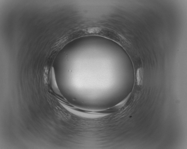 X0000079581443200612011206