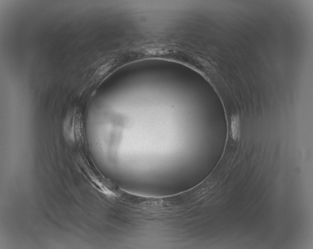 X0000079581444200612011206