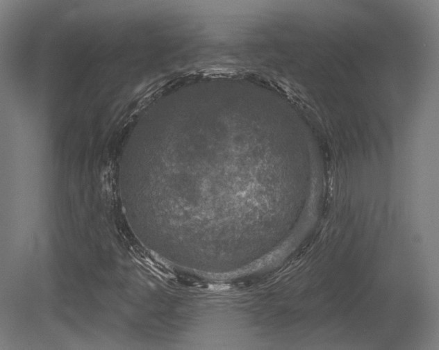 X0000079581445200612011206