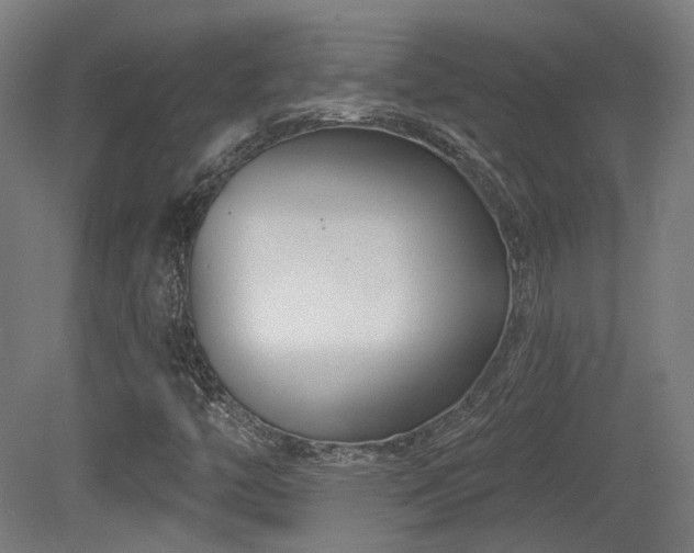 X0000079581446200612011206
